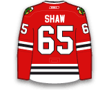 Andrew Shaw