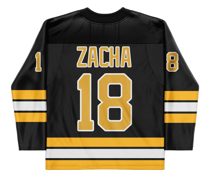 Pavel Zacha