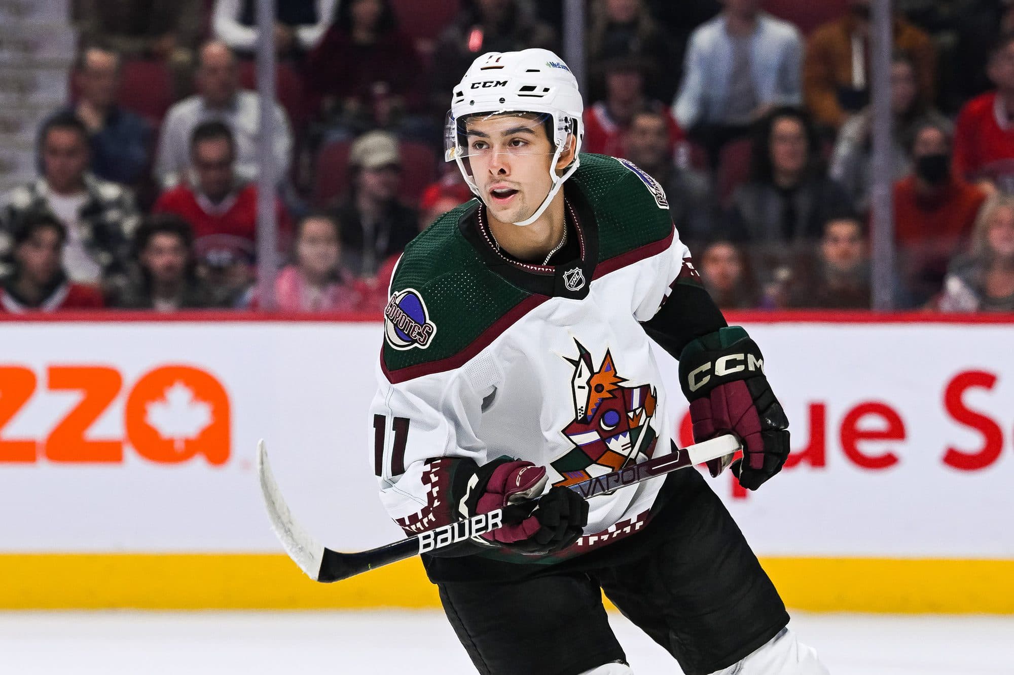 Arizona Coyotes assign Dylan Guenther to Seattle Thunderbirds (WHL)