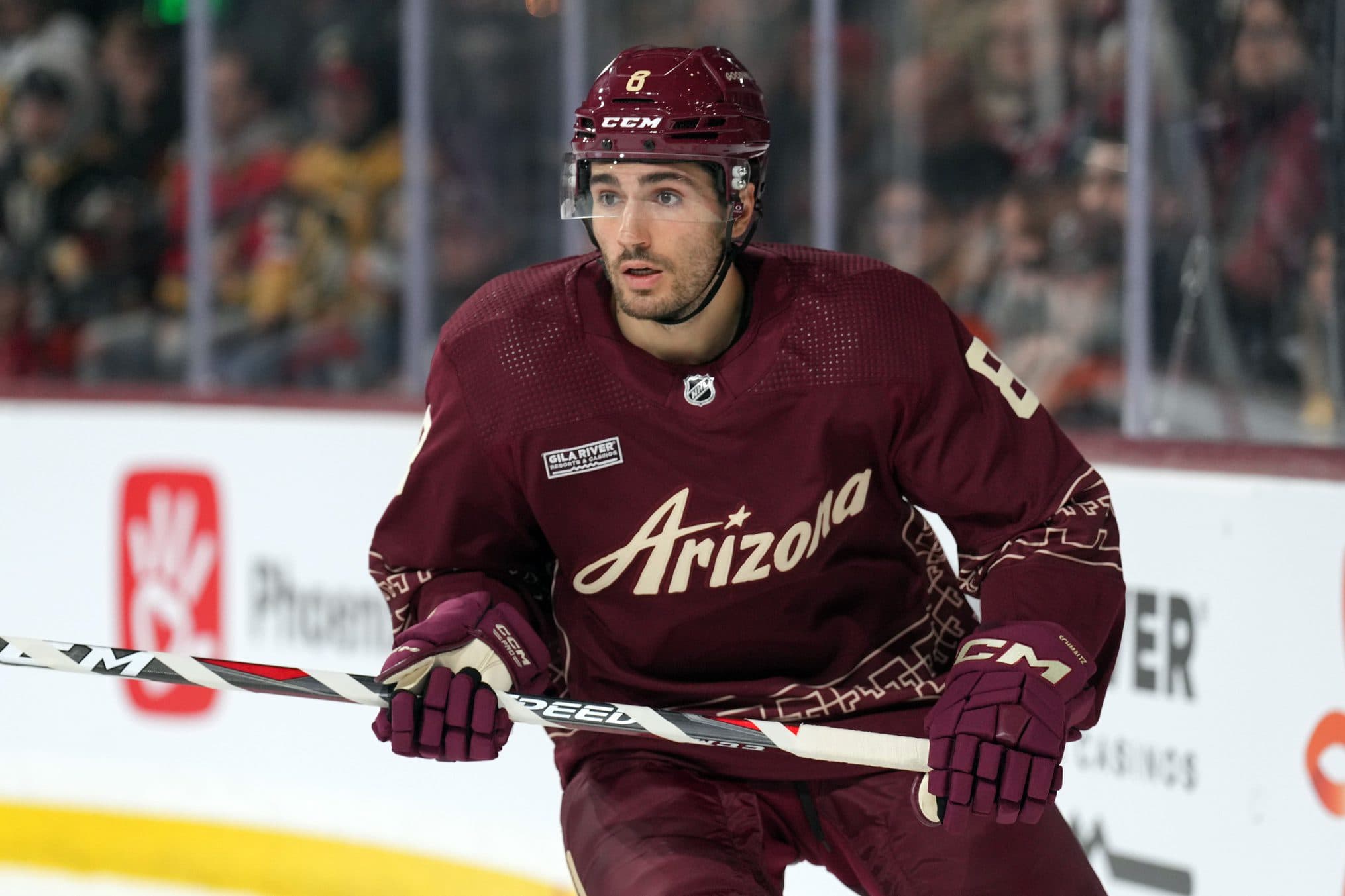 Nick Schmaltz’s bumpy road to stardom in Arizona offers critical lessons on proper rebuild strategy