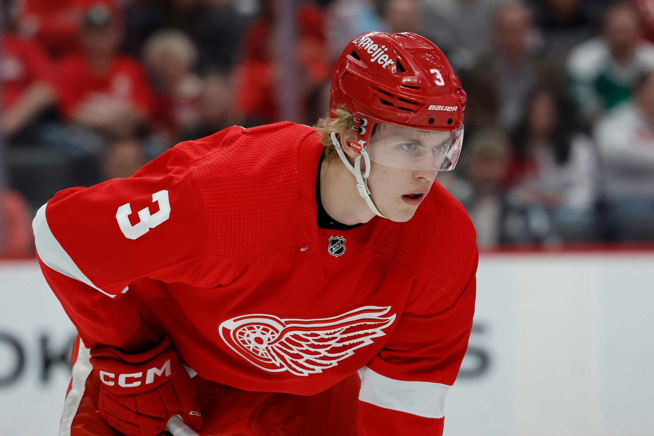 2023-24 NHL Prospect Pool Breakdown: Detroit Red Wings