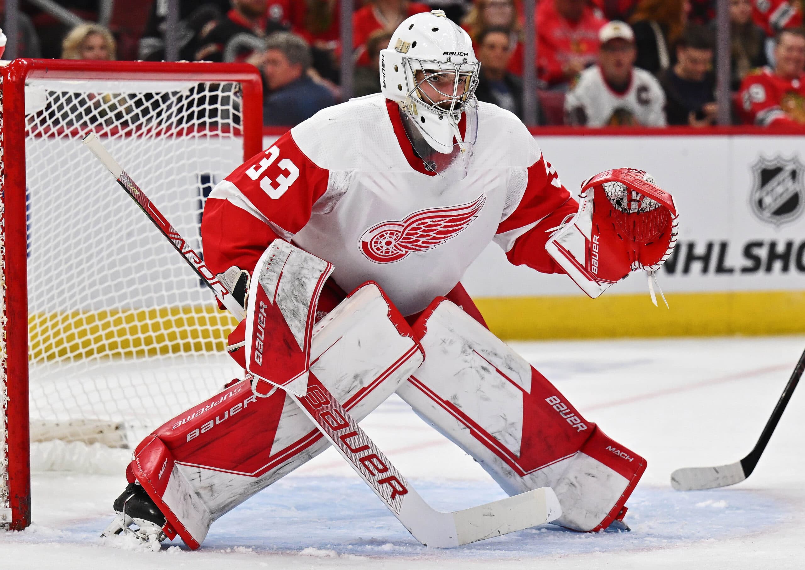 2024-25 NHL Prospect Pool Breakdown: Detroit Red Wings’ Top 10