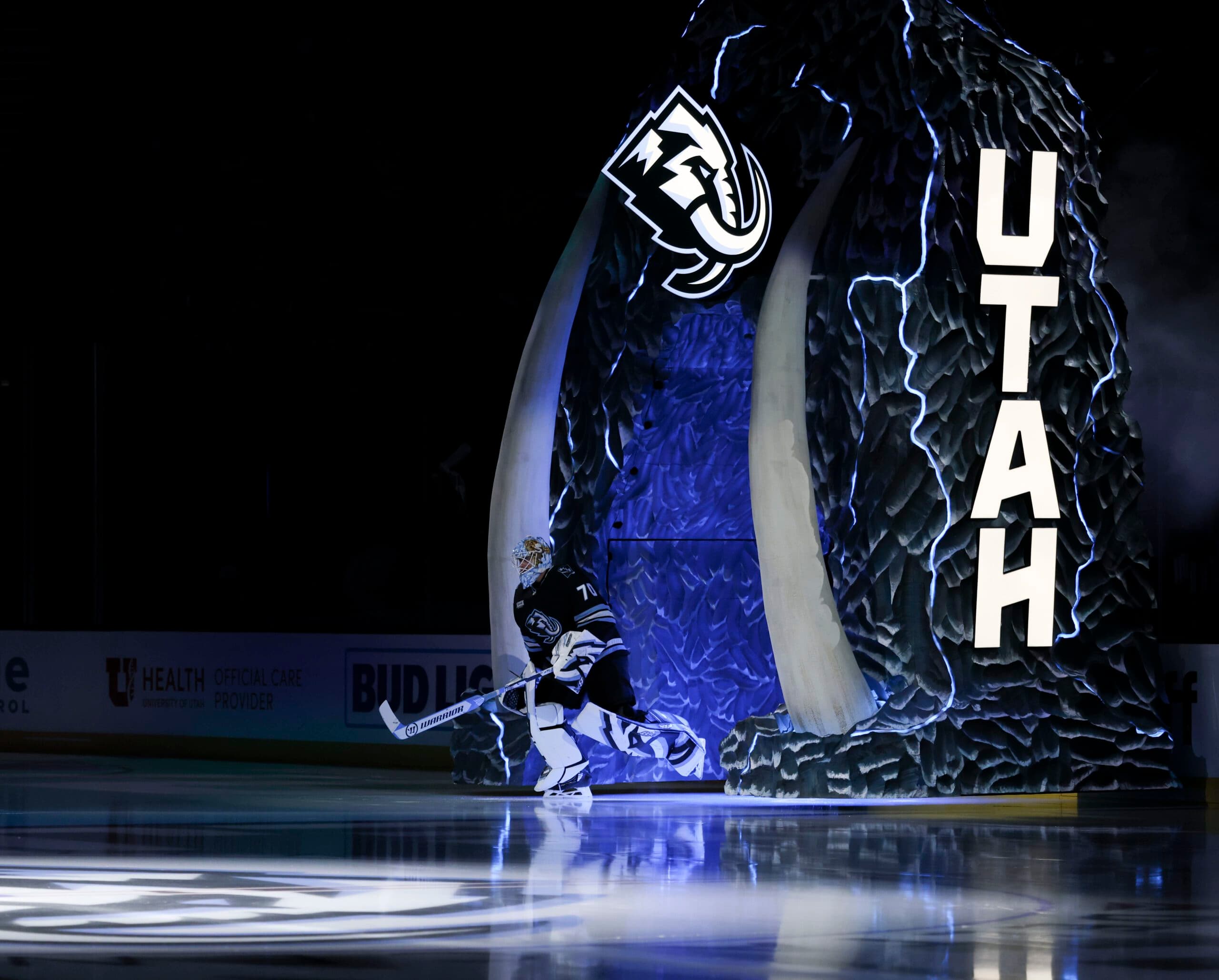 If you were a first-time NHL fan, which team would you adopt to cheer for?